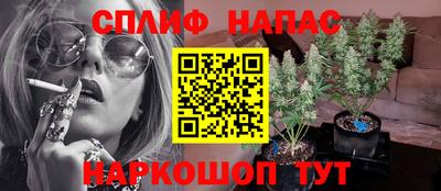 мяу мяу мука Боровичи